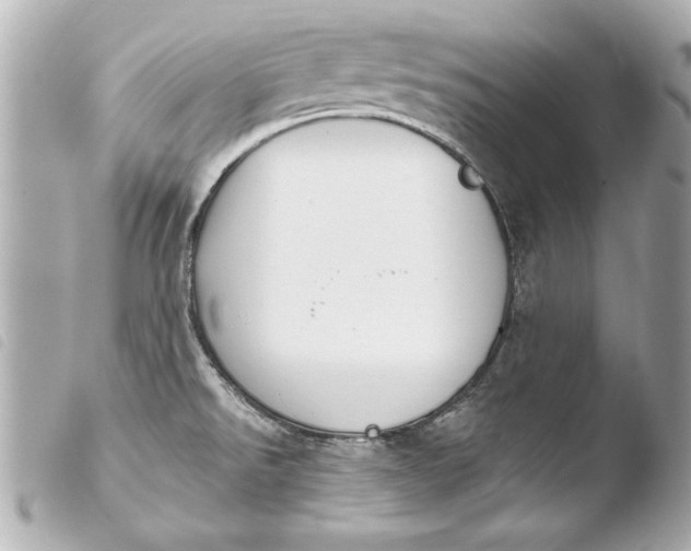 X0000103951526200810031334