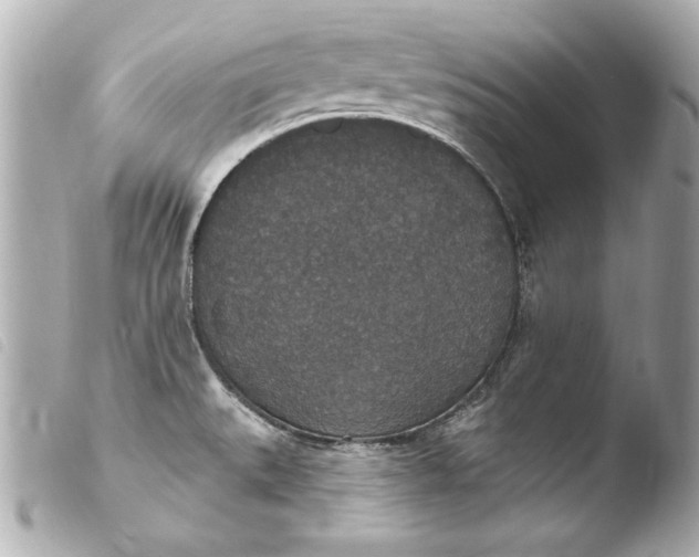 X0000103951527200810031334