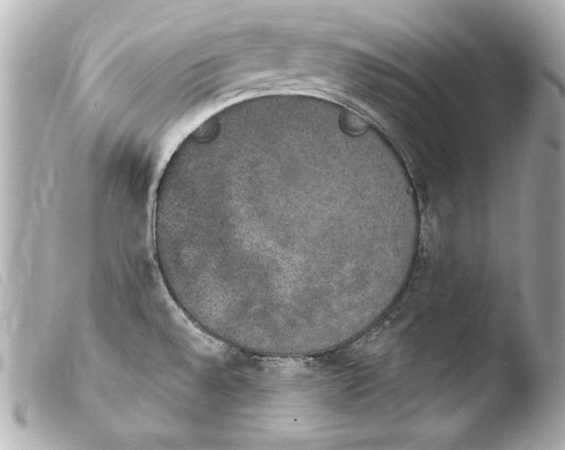 X0000103951528200810031334