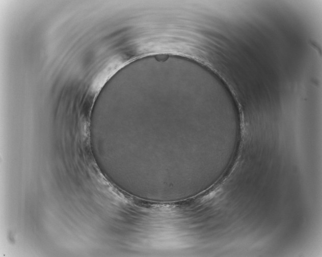 X0000103951529200810031334