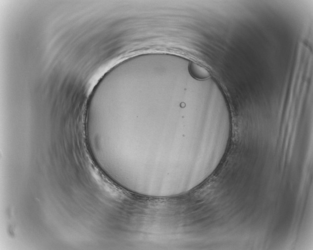 X0000103951530200810031334