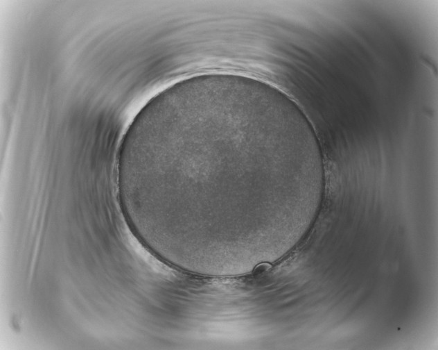 X0000103951531200810031334