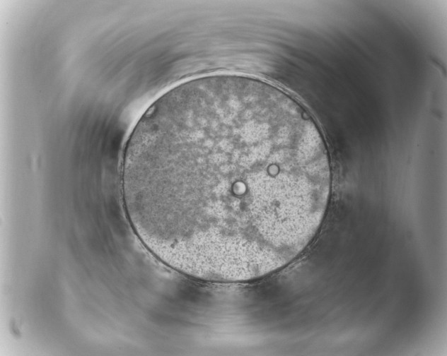 X0000103951532200810031334