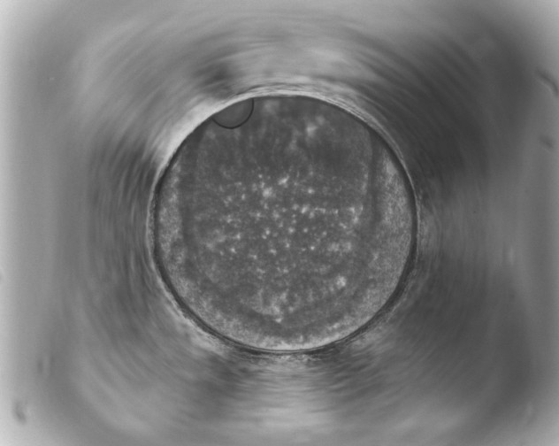 X0000103951533200810031334