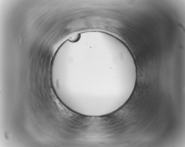 X0000103951534200810031334