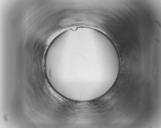 X0000103951535200810031334