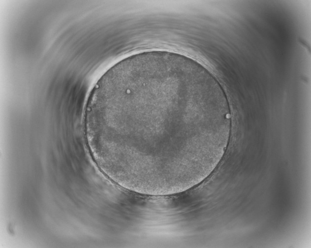 X0000103951536200810031334