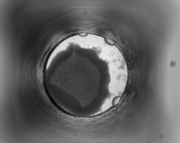 X0000103950002200810101449