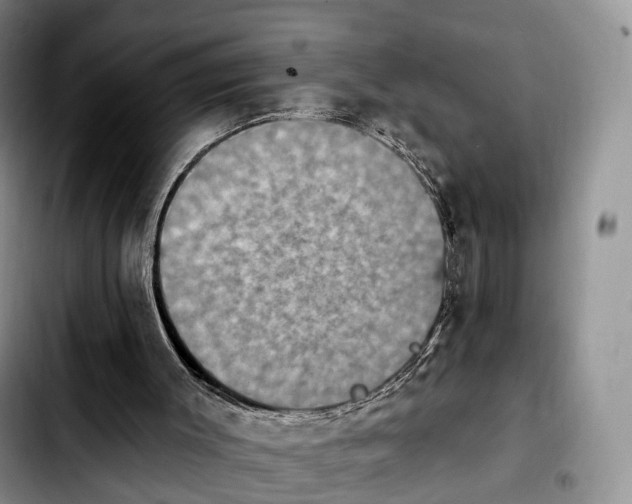 X0000103950003200810101449