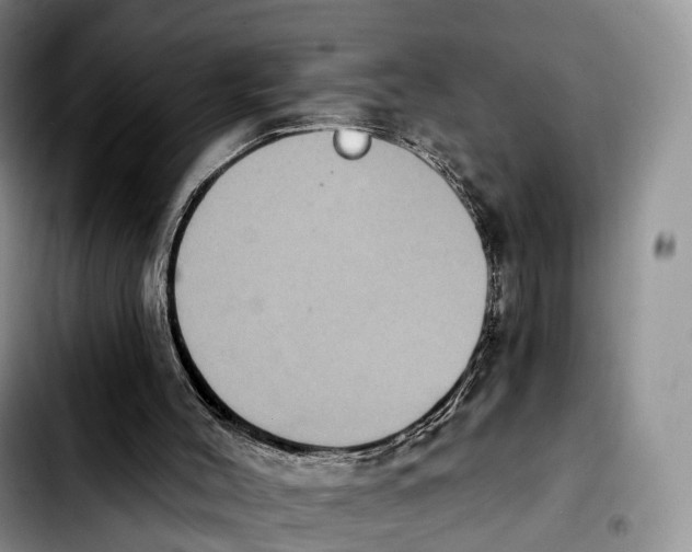 X0000103950004200810101448