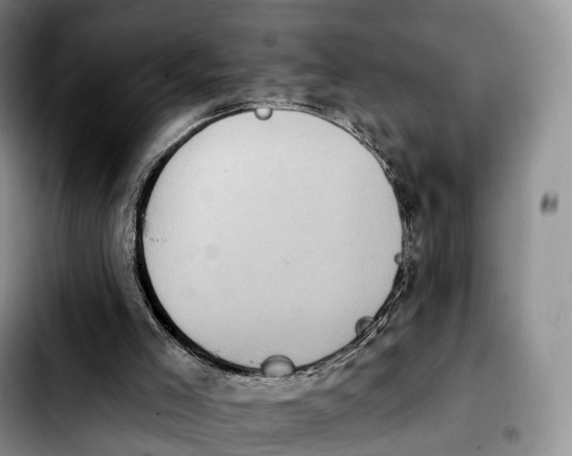 X0000103950005200810101448
