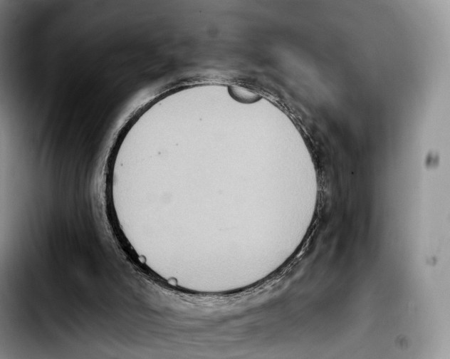 X0000103950006200810101448