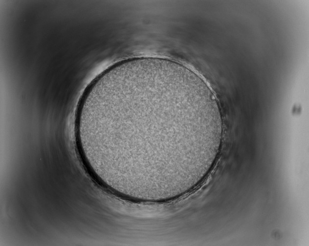 X0000103950008200810101448