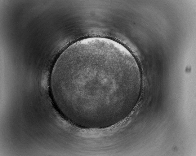 X0000103950009200810101448