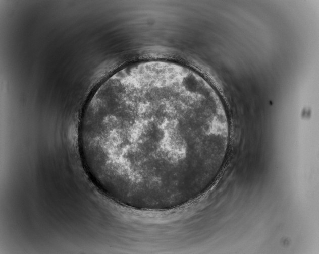 X0000103950010200810101448