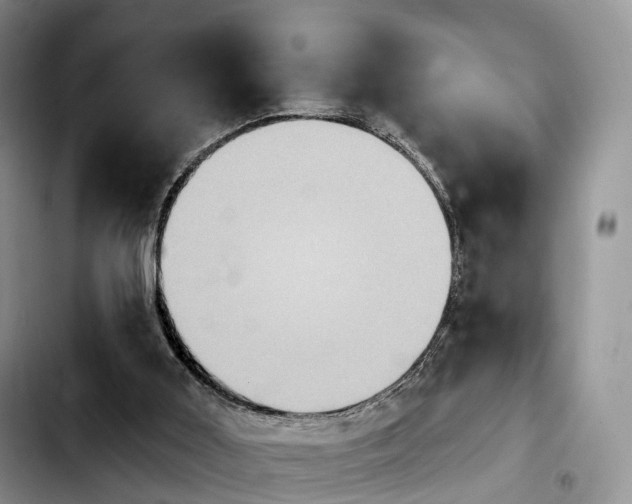 X0000103950011200810101448