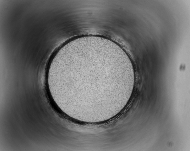 X0000103950012200810101448
