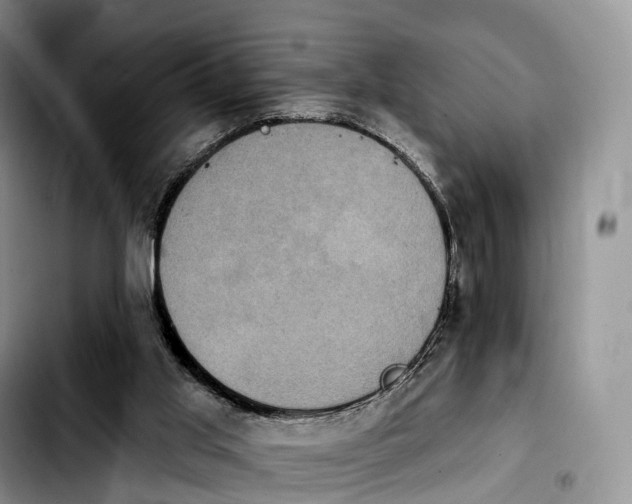 X0000103950013200810101448