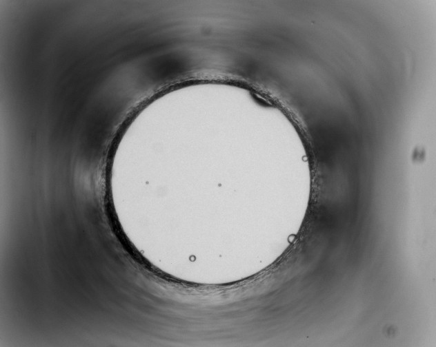 X0000103950015200810101448