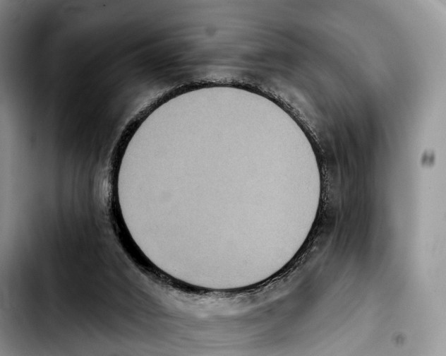 X0000103950016200810101448