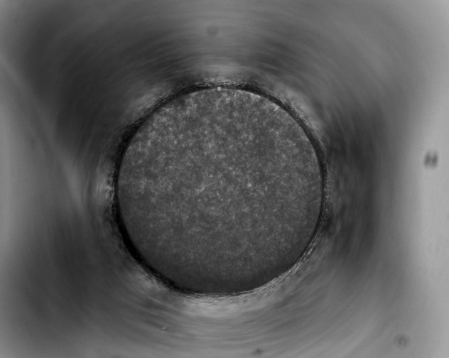 X0000103950017200810101448