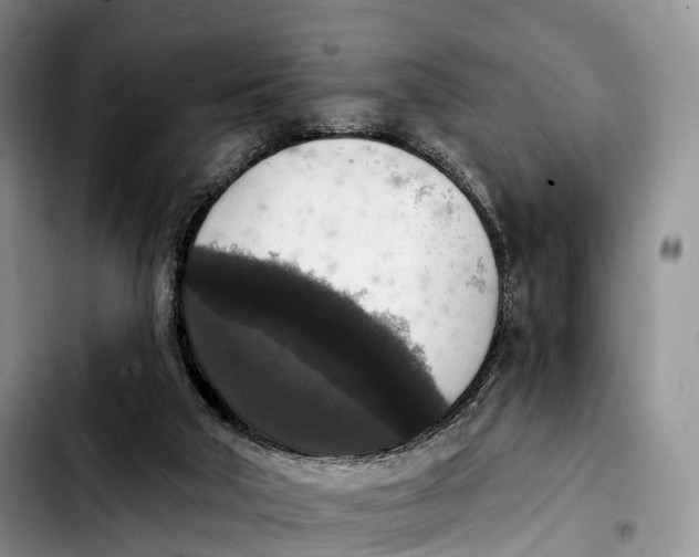 X0000103950018200810101448