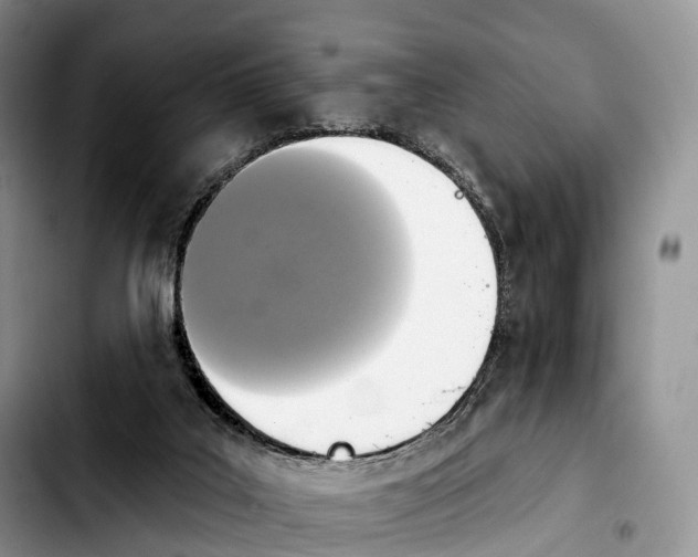 X0000103950019200810101448