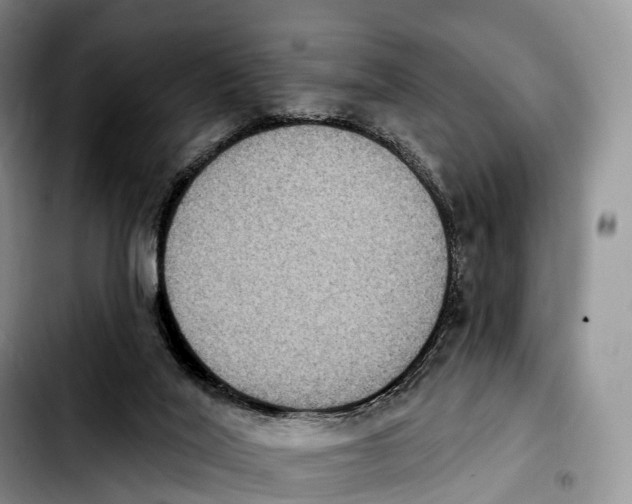 X0000103950020200810101448