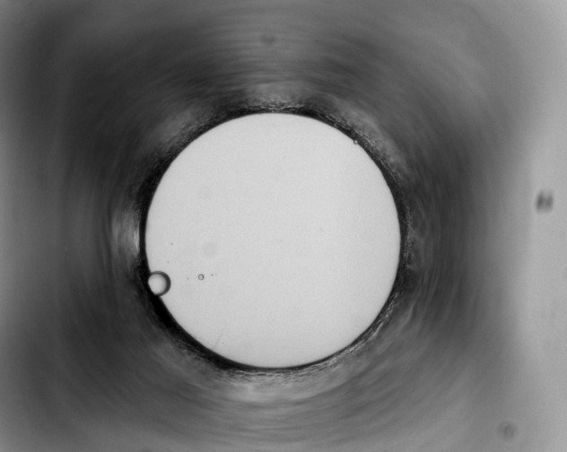 X0000103950021200810101448