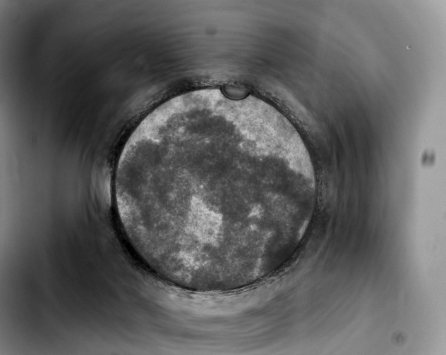 X0000103950022200810101448