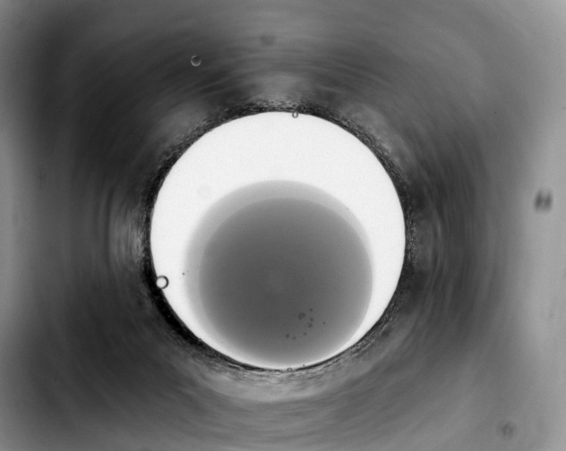 X0000103950023200810101448