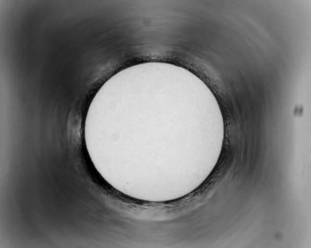 X0000103950024200810101448