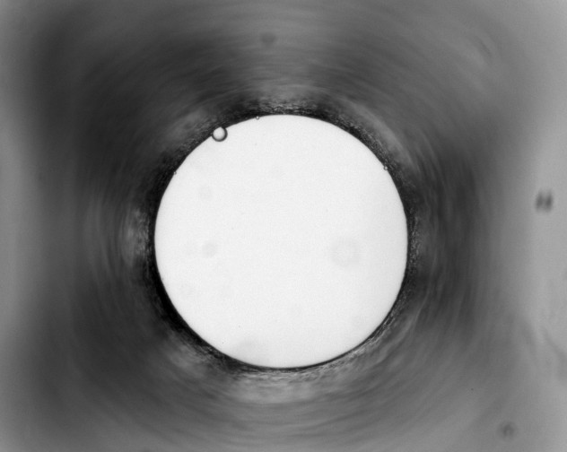 X0000103950025200810101448