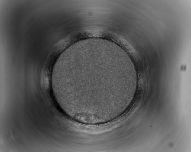 X0000103950026200810101448