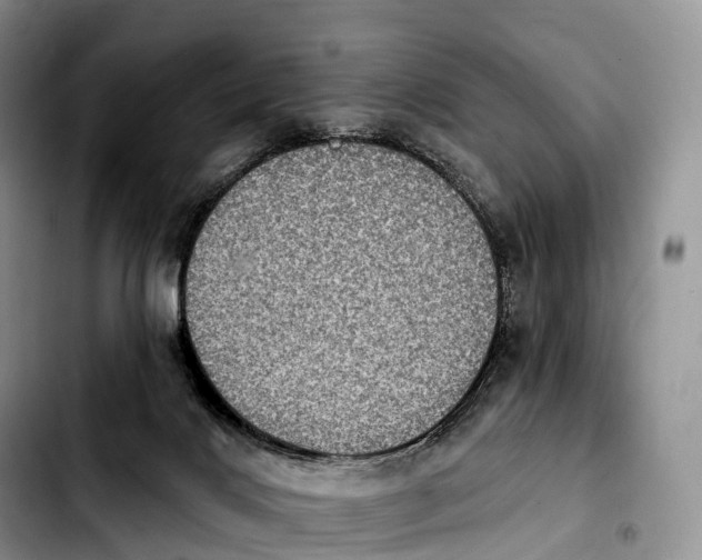 X0000103950028200810101448