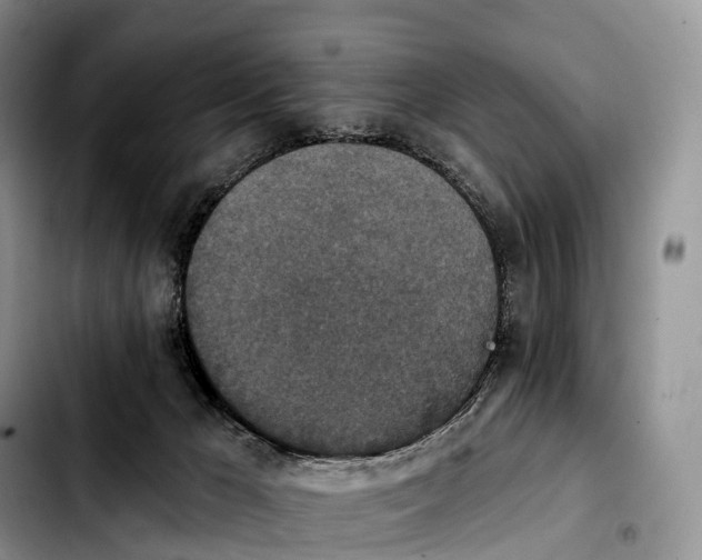 X0000103950029200810101448