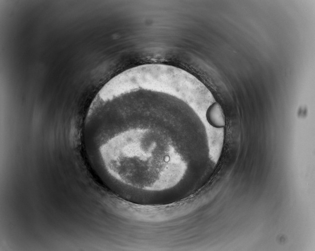 X0000103950030200810101448