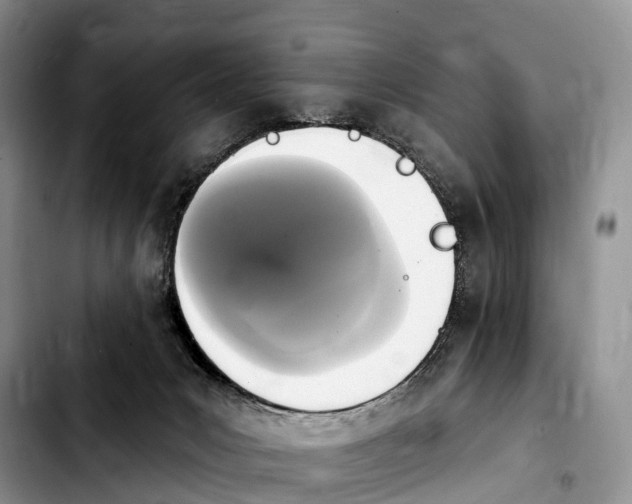 X0000103950031200810101448