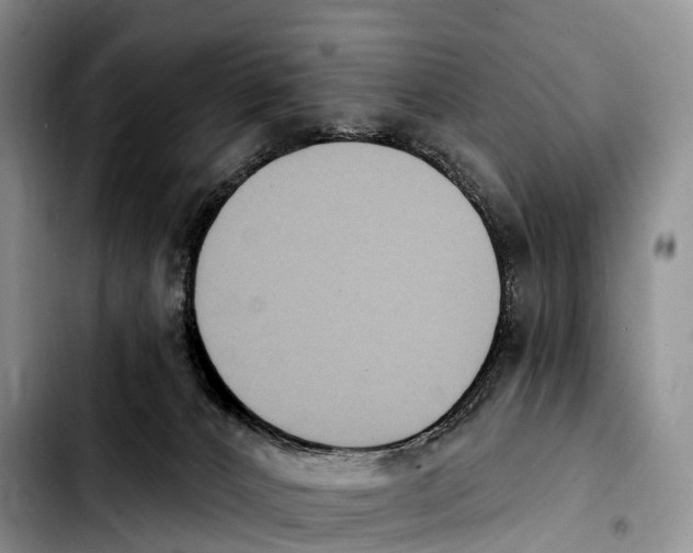 X0000103950032200810101448