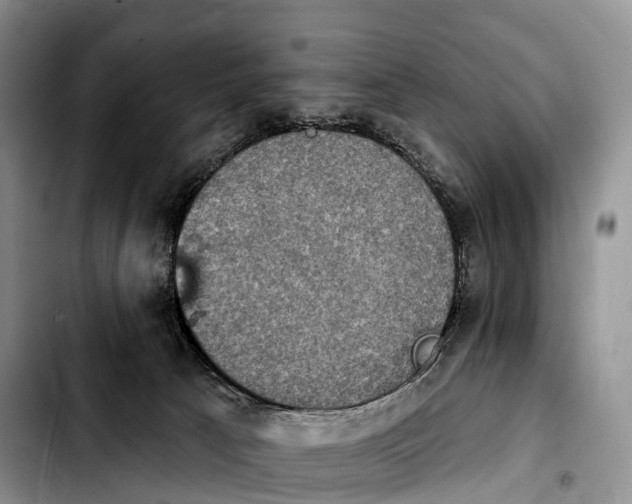X0000103950033200810101448