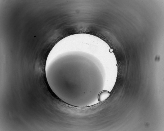 X0000103950035200810101448