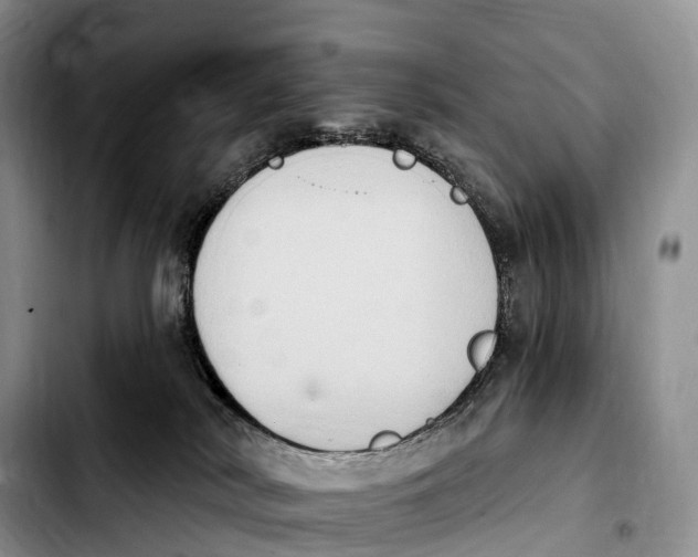 X0000103950038200810101448