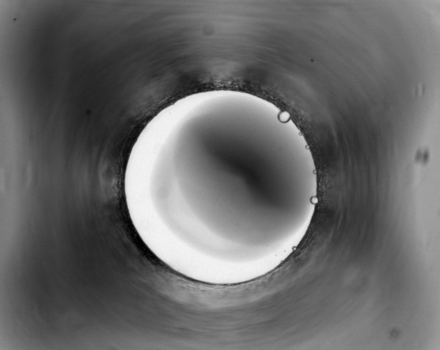 X0000103950039200810101448