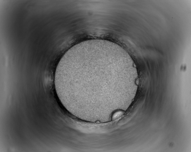 X0000103950040200810101448