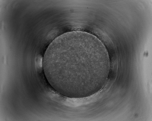X0000103950041200810101448