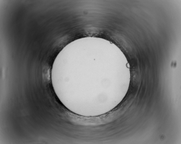 X0000103950042200810101448