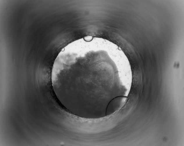 X0000103950043200810101448