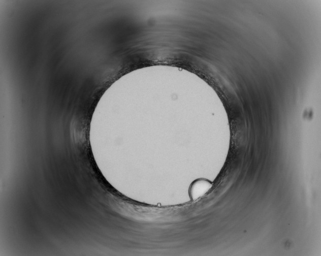X0000103950044200810101448