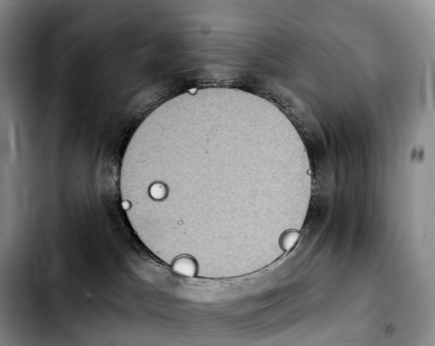 X0000103950045200810101448