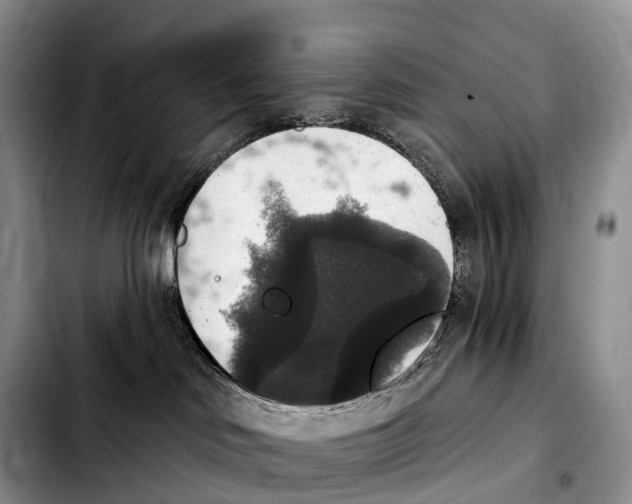 X0000103950046200810101448